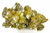 Lustrous Forest-Green Pyromorphite Crystal Cluster - China #260968-1